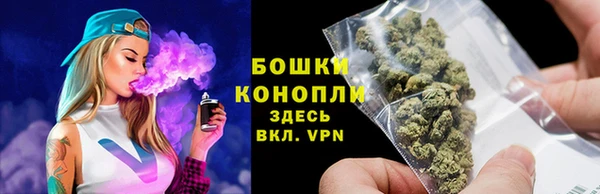 прущие грибы Нефтегорск