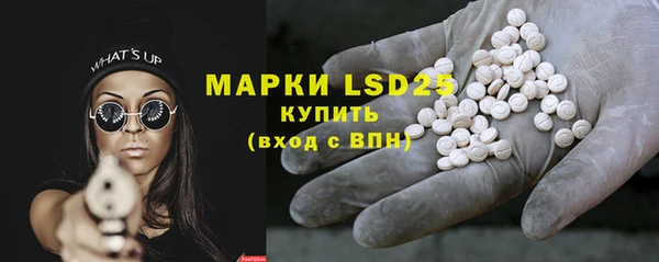 прущие грибы Нефтегорск