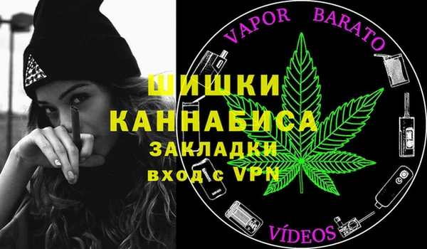 прущие грибы Нефтегорск