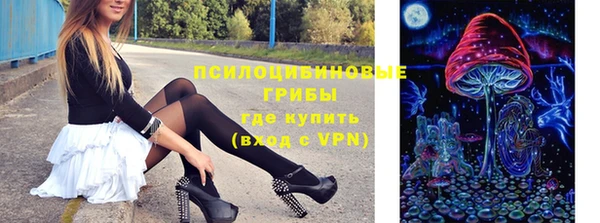 хмурый Нефтекумск