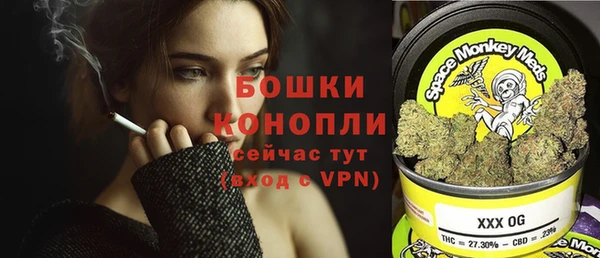 прущие грибы Нефтегорск