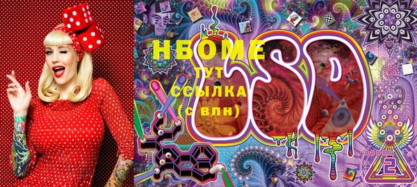 прущие грибы Нефтегорск