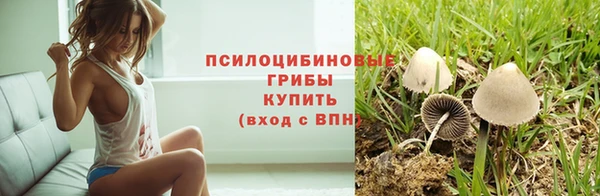 хмурый Нефтекумск