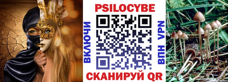 omg ссылки  наркошоп  даркнет наркотические препараты  Псилоцибиновые грибы Psilocybe  Новошахтинск 